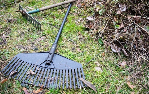 rake outside in yard